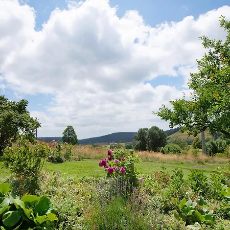 Blasi Mit Alpensicht